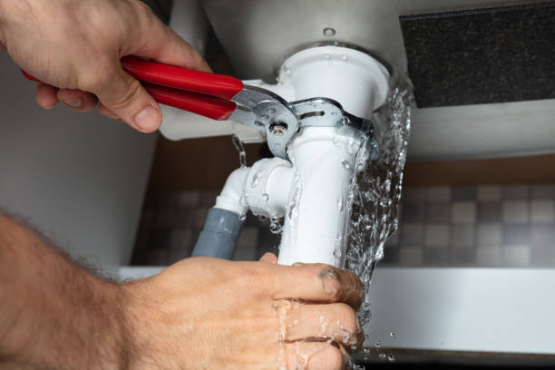 Best Mold removal after water damage  in Milton, DE
