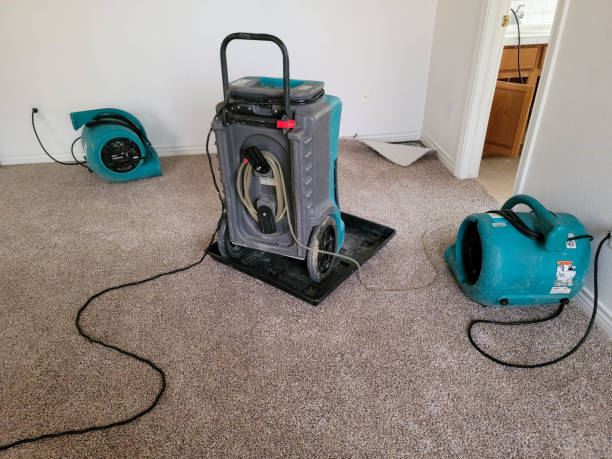 Best Flood damage cleanup  in Milton, DE