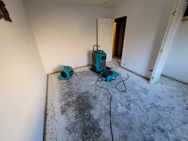 Best Fire Damage Restoration  in Milton, DE