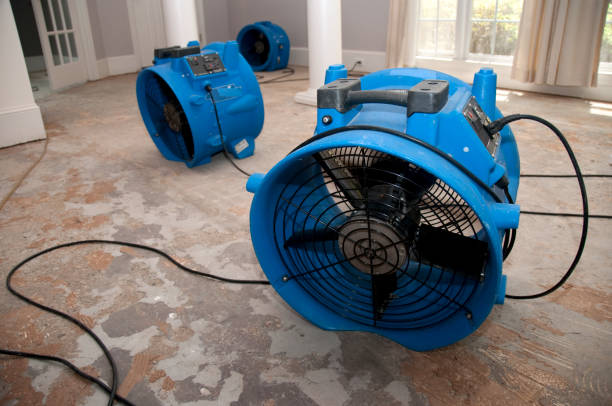 Local water damage restoration in DE