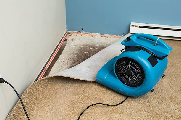 Best 24-hour water damage restoration  in Milton, DE